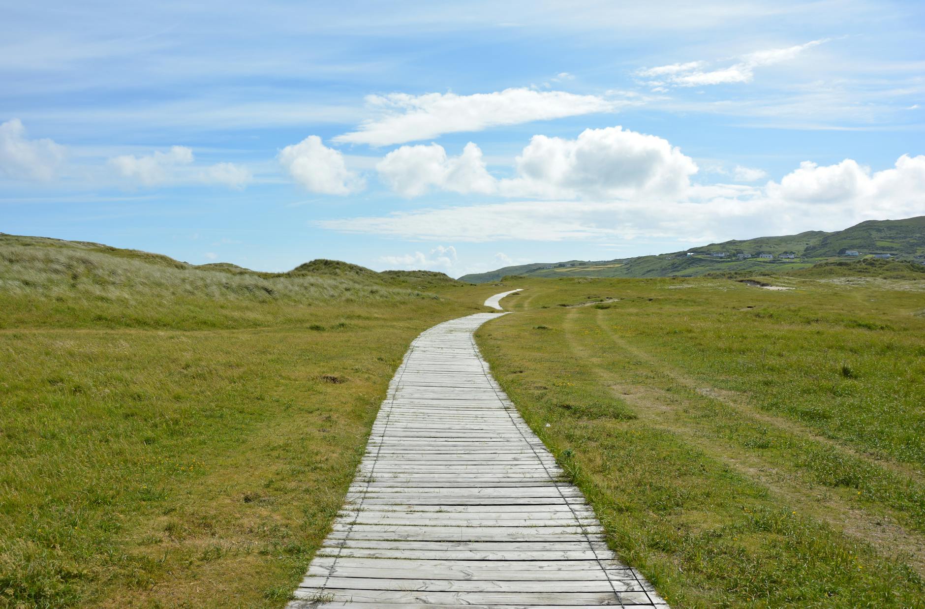 gray pathway in between grasses